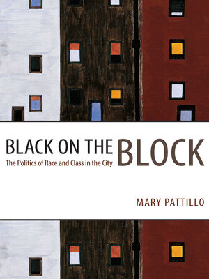 cover image of Black on the Block